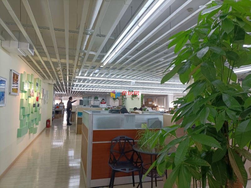 中企创新大厦（银座和谐广场）