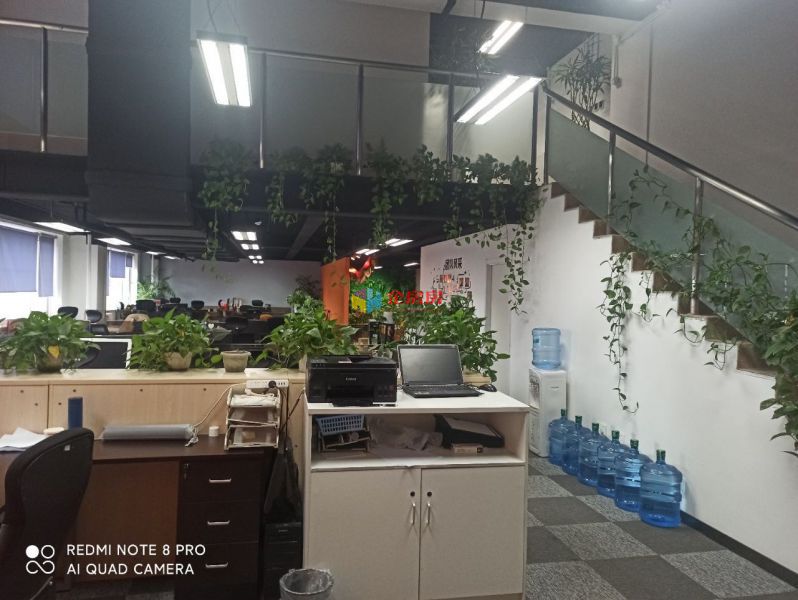 新华1949文创园（国际创意产业园）