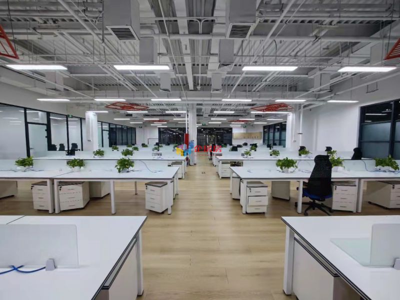 学院八号（学院8号）金五星改造