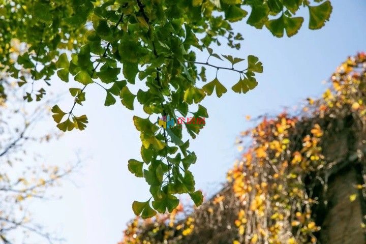 西海48文化创意中心