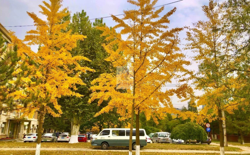 北分科技创新园
