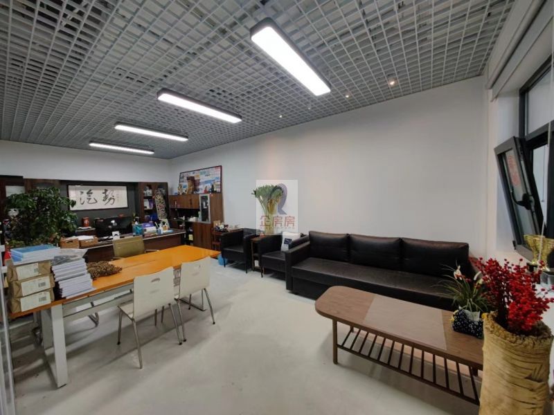 学院八号（学院8号）金五星改造