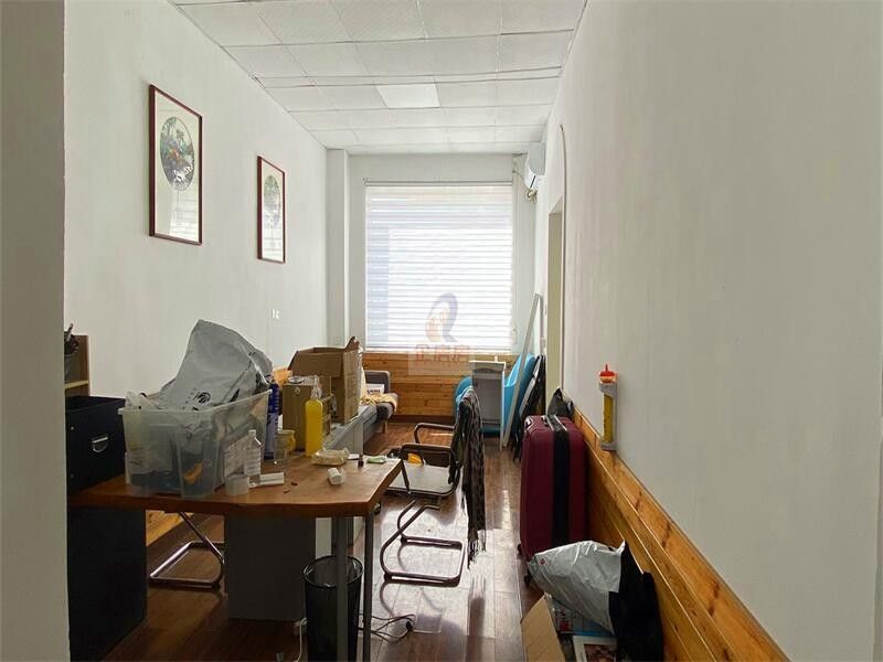 新闻艺术公园（NEWS ART PARK）