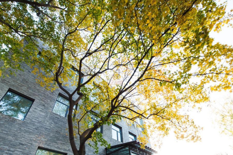 西海48文化创意中心