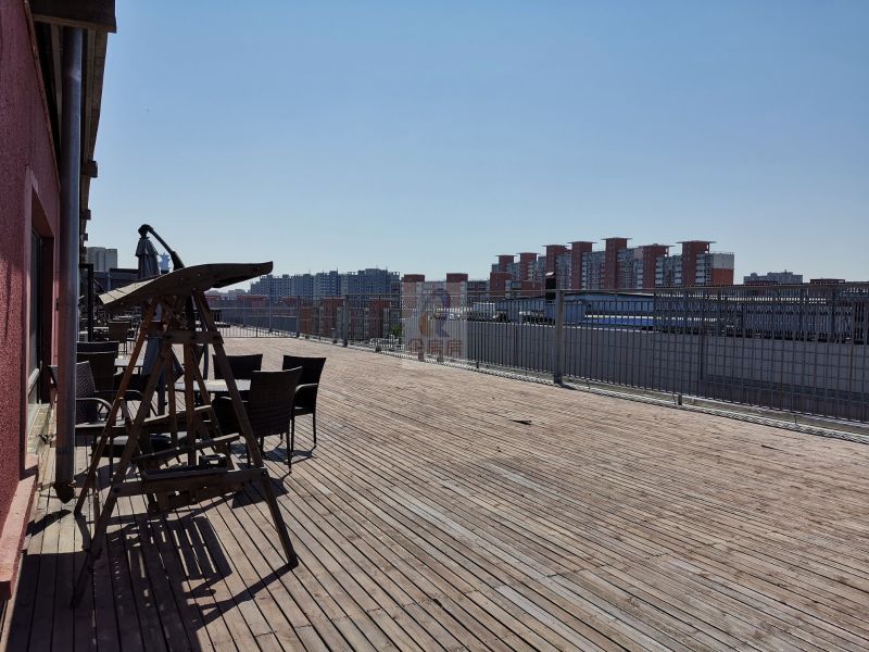 学院八号（学院8号）金五星改造