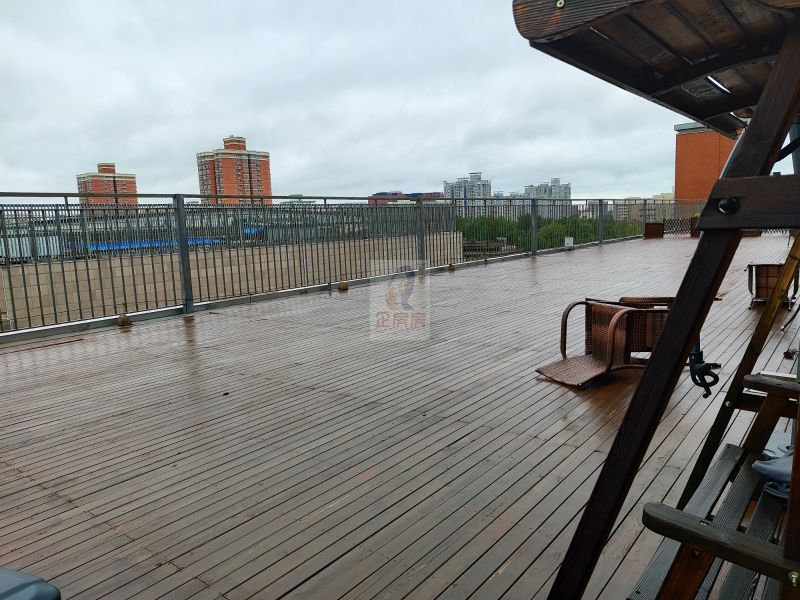 学院八号（学院8号）金五星改造