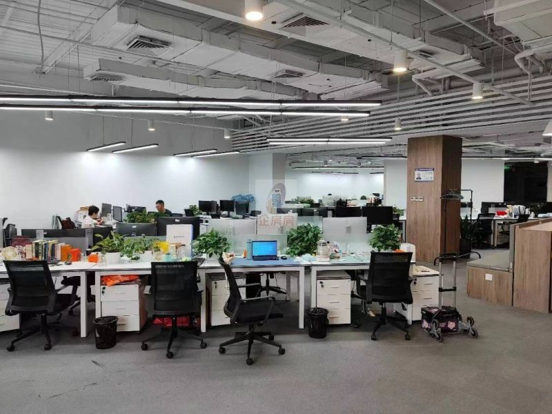 学院八号（学院8号）金五星改造