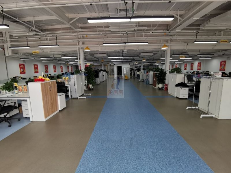 学院八号（学院8号）金五星改造