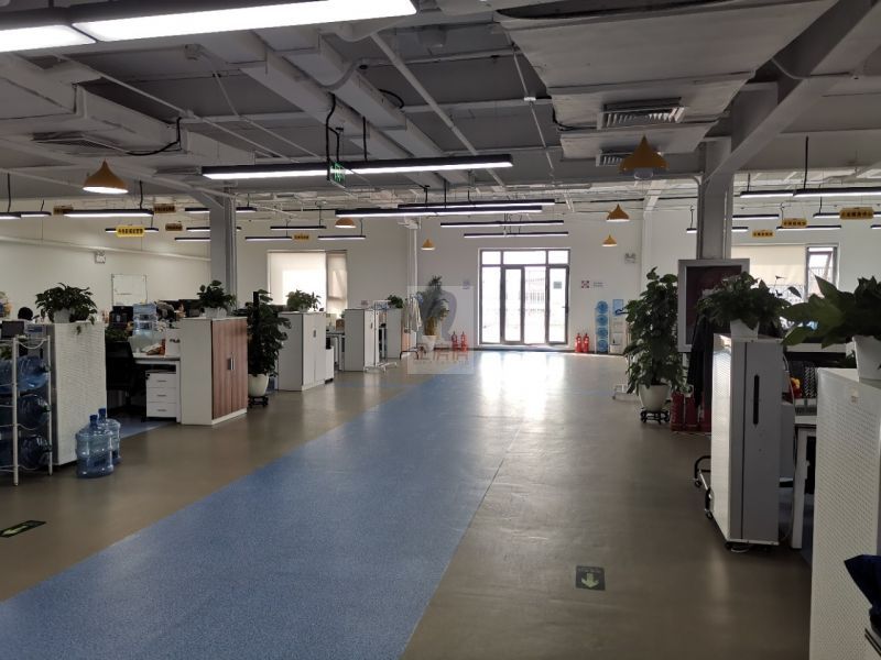 学院八号（学院8号）金五星改造