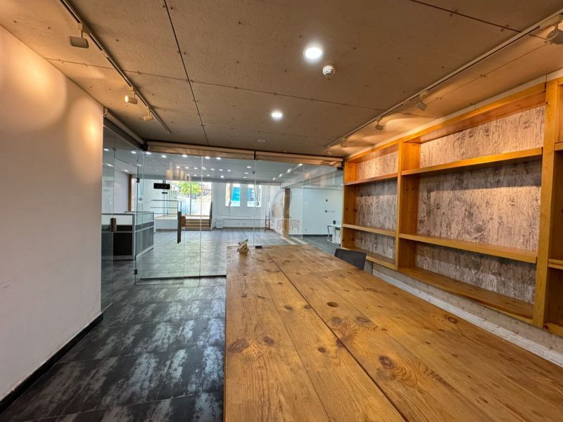 竞园艺术中心独栋