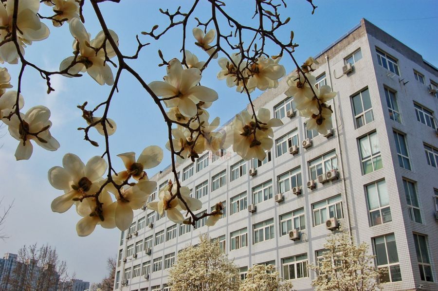 北京化工大学西校区