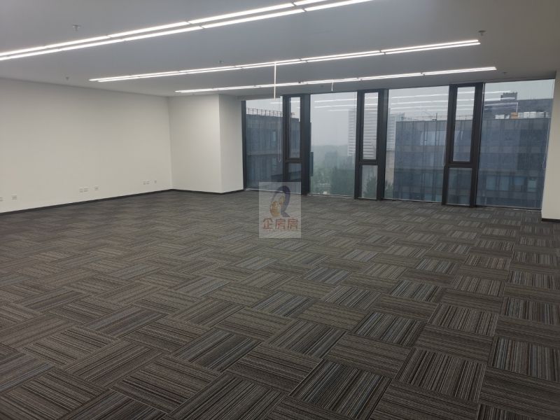 碳力未来大厦项目