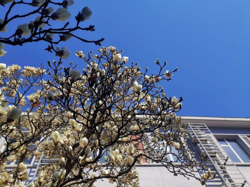 能+商务楼(展览路)（金泰华云）