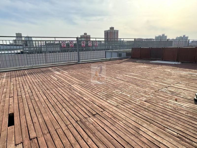 学院八号（学院8号）金五星改造