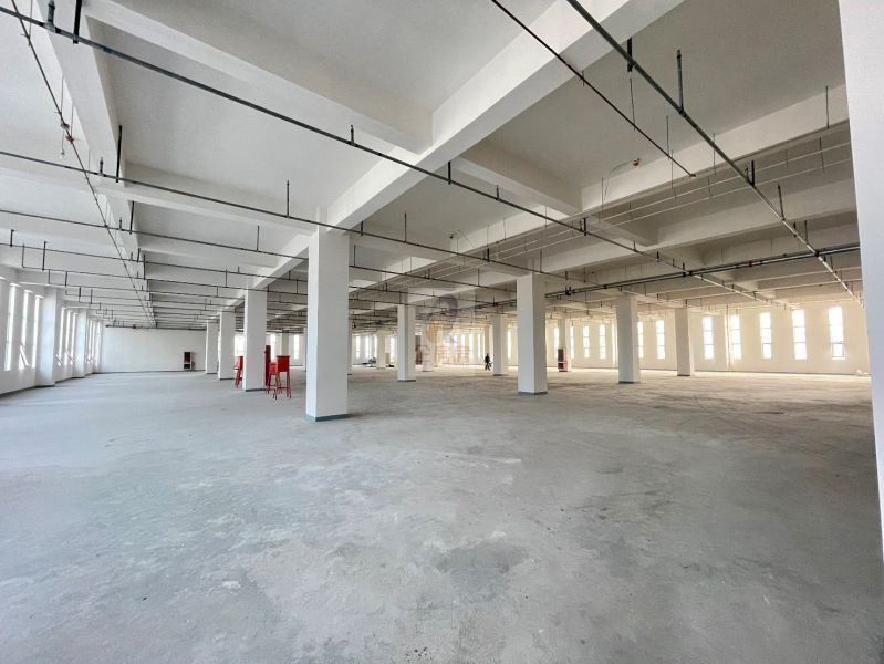 思捷爱普科技园