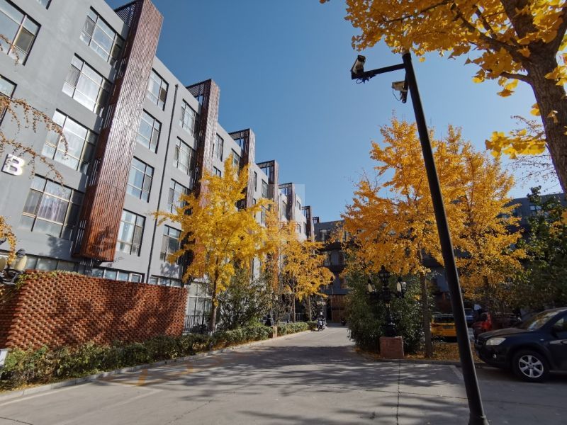 吉里国际艺术区 