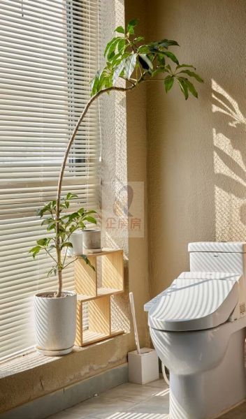 双树云产业园区