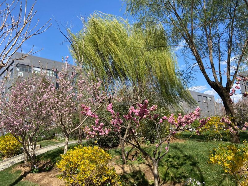 茂华智汇产业园