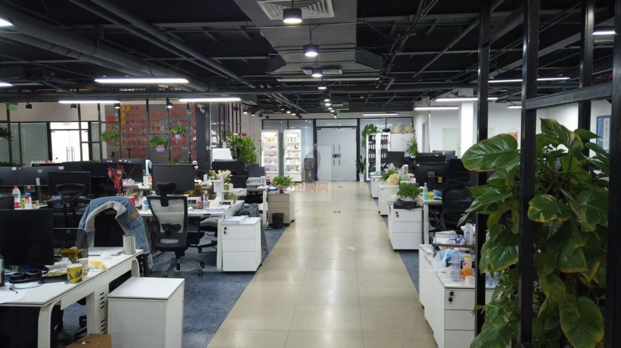 学院八号（学院8号）金五星改造