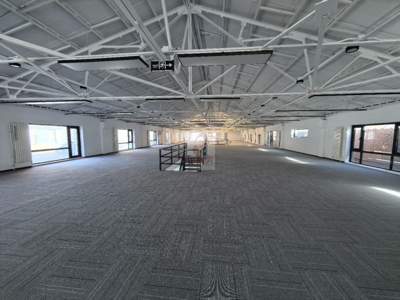 竞园艺术中心独栋