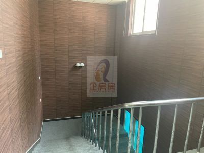开阳路88号详情
